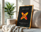 Möbius cross print styled on a sofa in a wood frame
